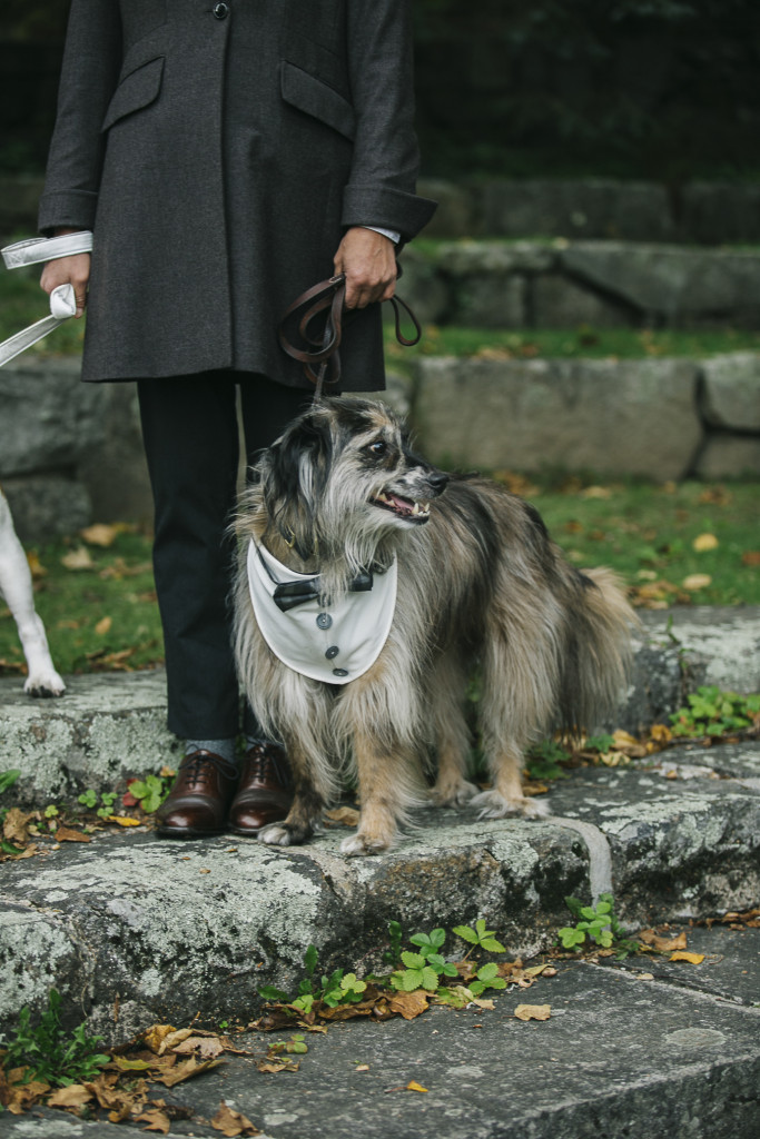 camden amphitheatre wedding photographer maine 81