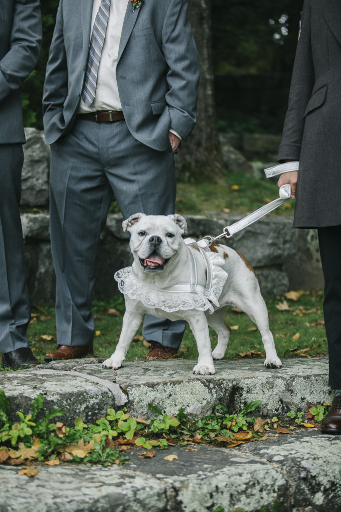 camden amphitheatre wedding photographer maine 82