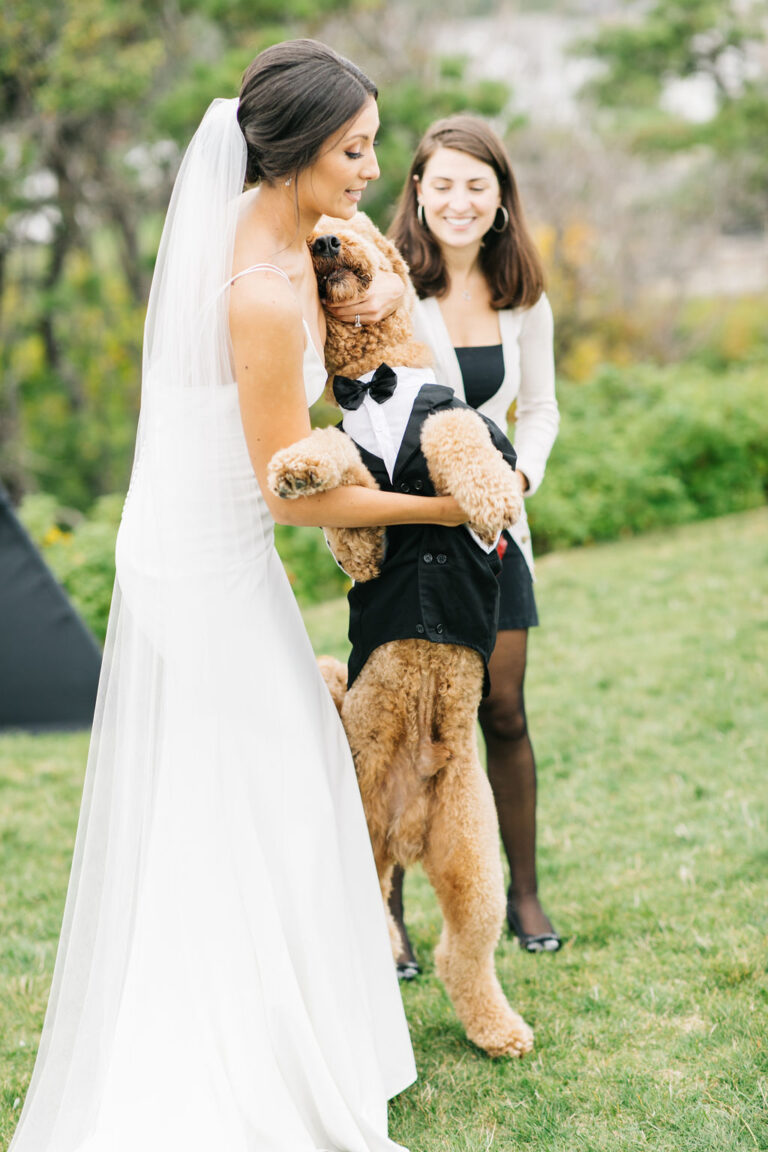 A dog in a tuxedo hugging a bride at a wedding.